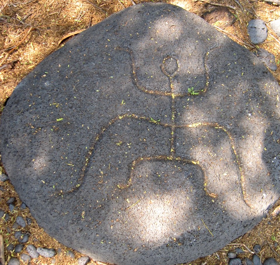 Petroglyphs in Puako Petroglyph Archaeological District 1351