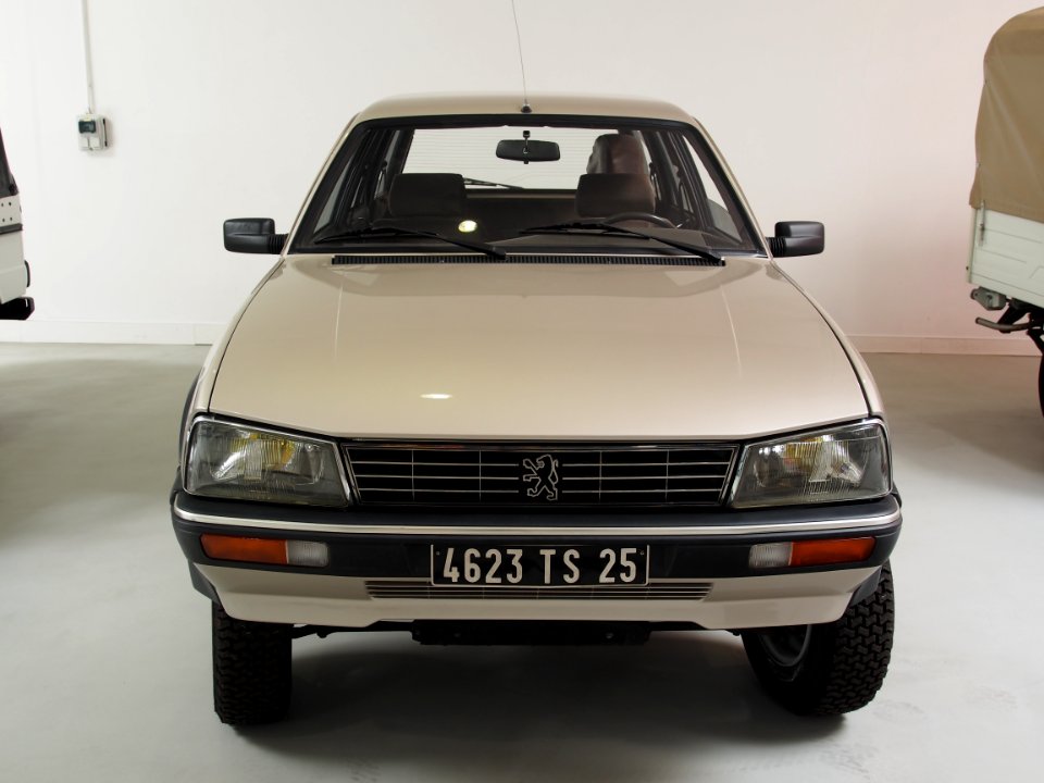 Peugeot 505 4x4 Dangel photo 3