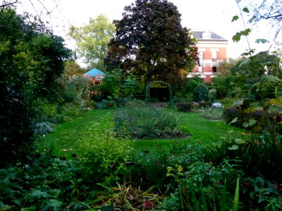 Petit jardin en automne - Jardin des Plantes