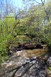 Petit Creek, Cartersville April 2017