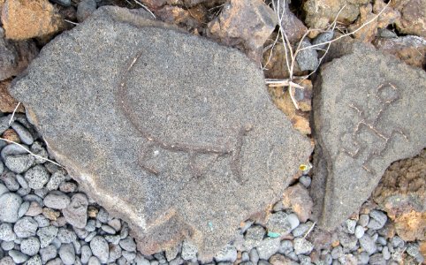 Petroglyphs in Puako Petroglyph Archaeological District 1345