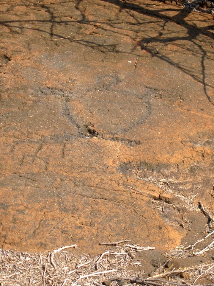 Petroglyphs in Puako Petroglyph Archaeological District 1361