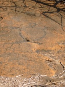 Petroglyphs in Puako Petroglyph Archaeological District 1361