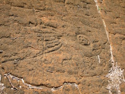 Petroglyphs in Puako Petroglyph Archaeological District1375