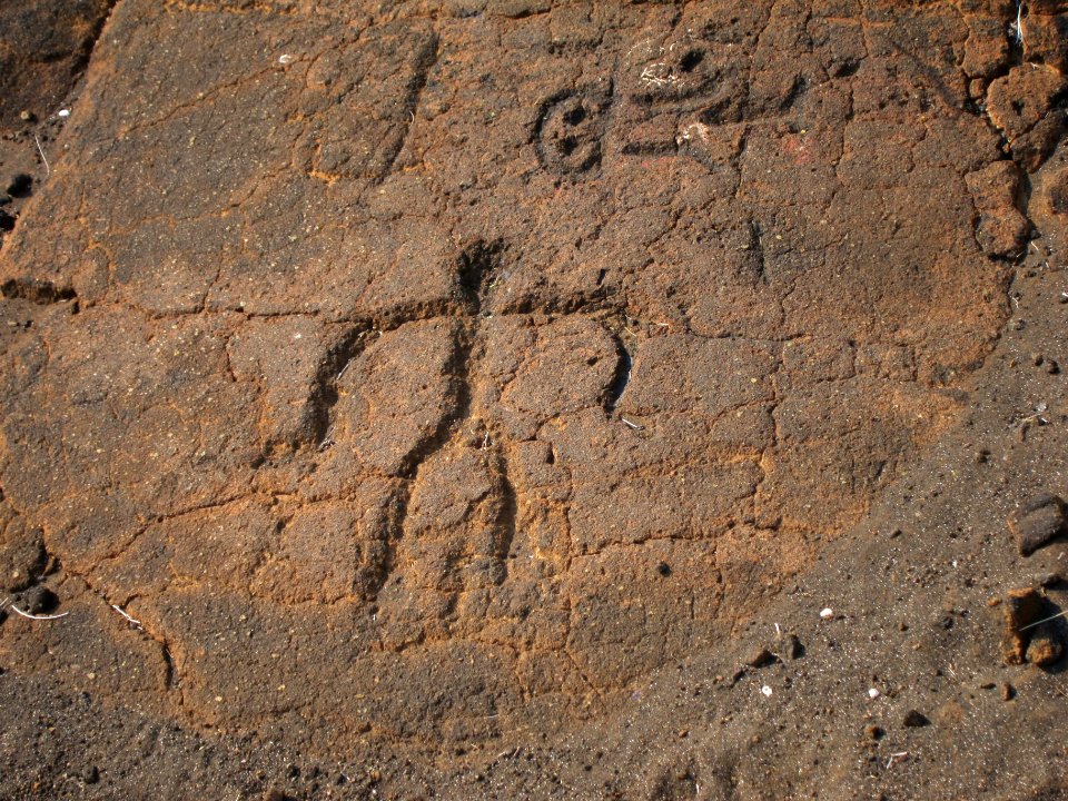 Petroglyphs in Puako Petroglyph Archaeological District1367