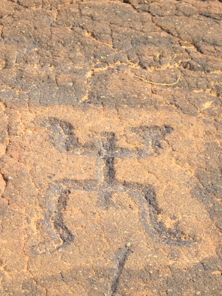 Petroglyphs in Puako Petroglyph Archaeological District 1360