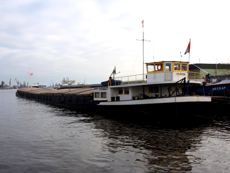 Petrus Maasbracht ENI 02316286 pic1