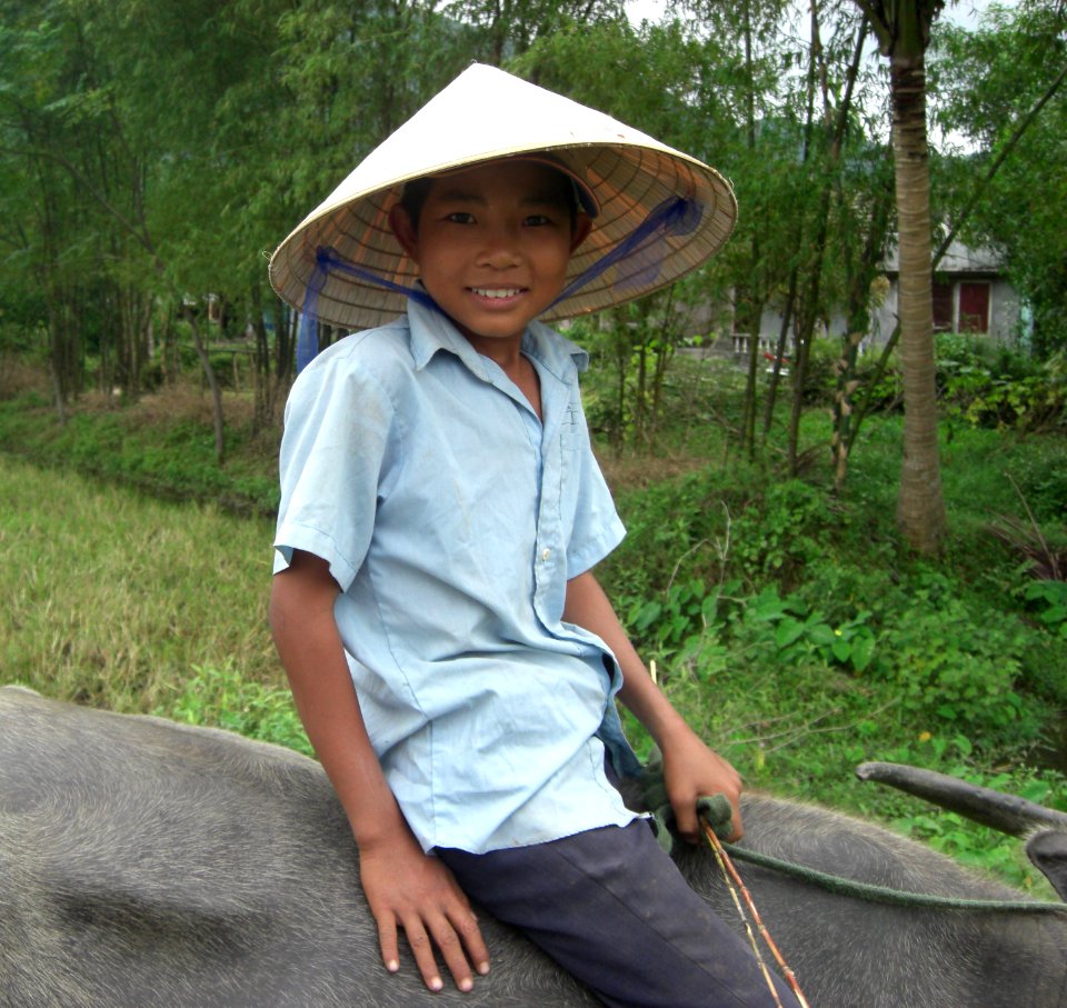 Petit garçon sur un bufle, Vietnam
