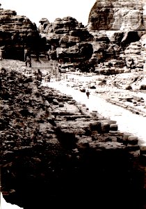 Petra Cardo in westlicher Richtung 1963