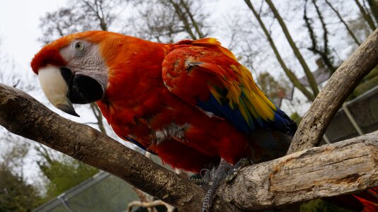 Animal zoo nature