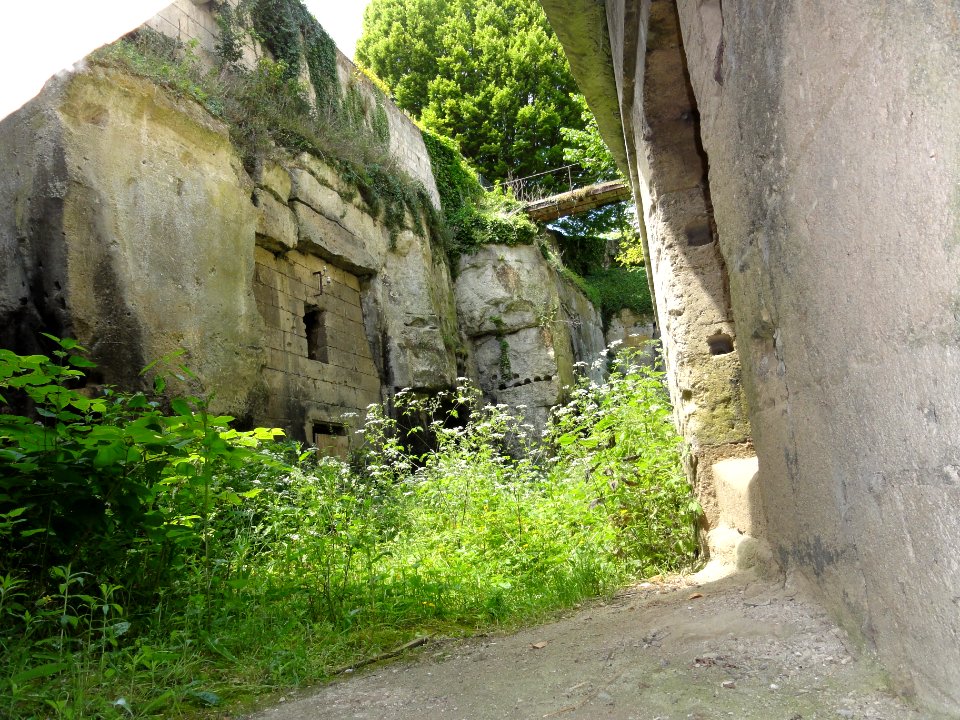 Pernant (Aisne) chateau, MH, (04) détail vu par un trou du portail
