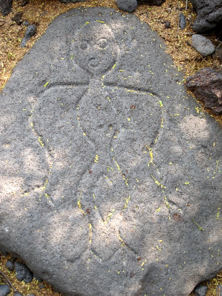 Petroglyphs in Puako Petroglyph Archaeological District 1348