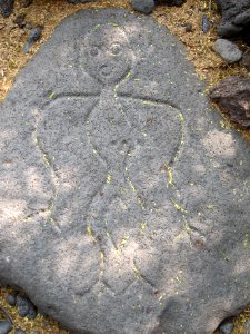 Petroglyphs in Puako Petroglyph Archaeological District 1348