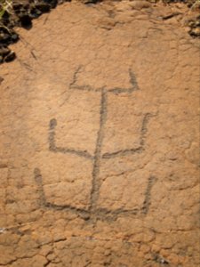 Petroglyphs in Puako Petroglyph Archaeological District1369