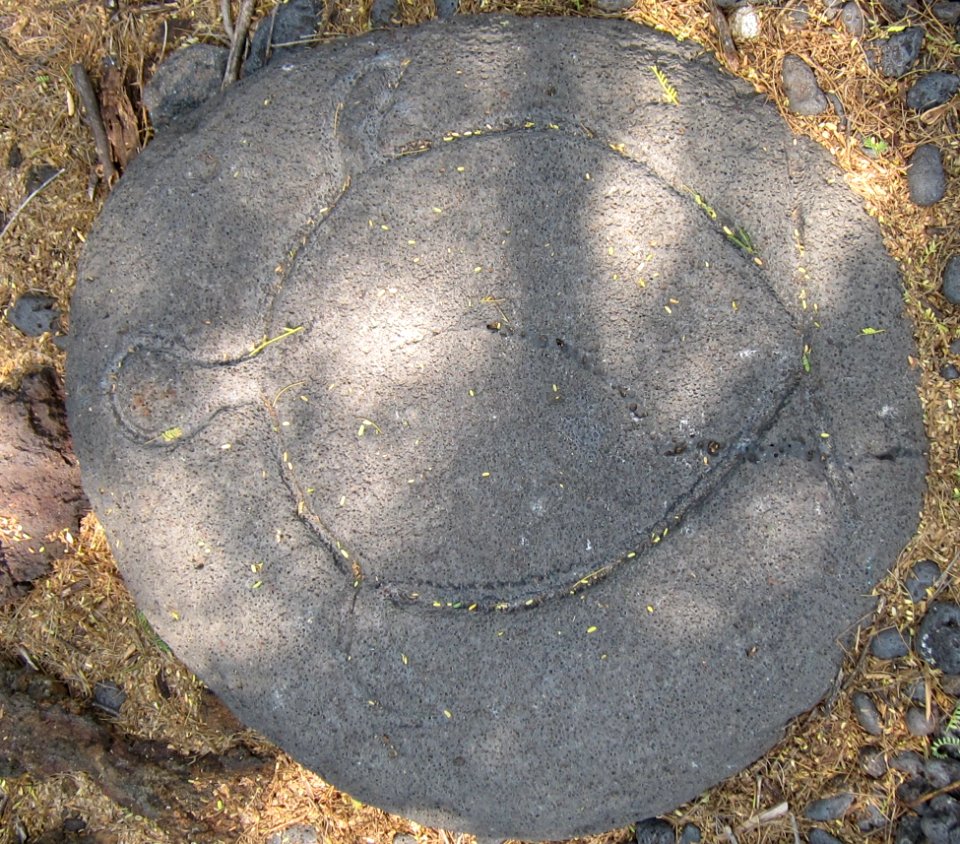 Petroglyphs in Puako Petroglyph Archaeological District1352