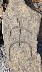 Petroglyphs in Puako Petroglyph Archaeological District1342