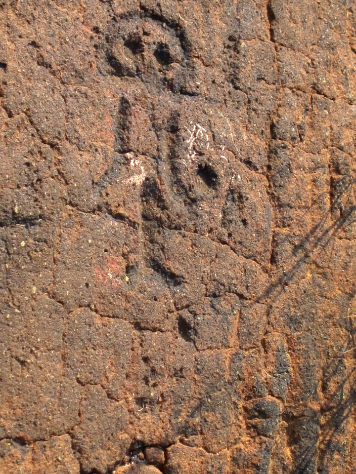 Petroglyphs in Puako Petroglyph Archaeological District366
