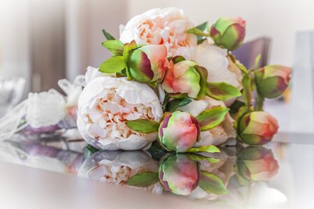 Roses joy beauty