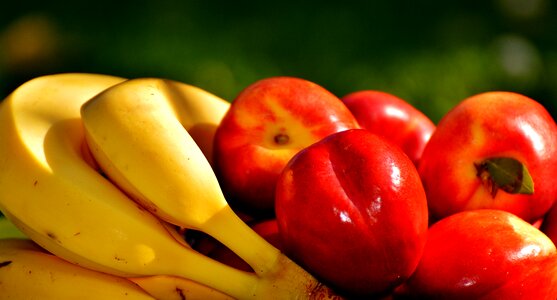 Vegetarian delicious healthy
