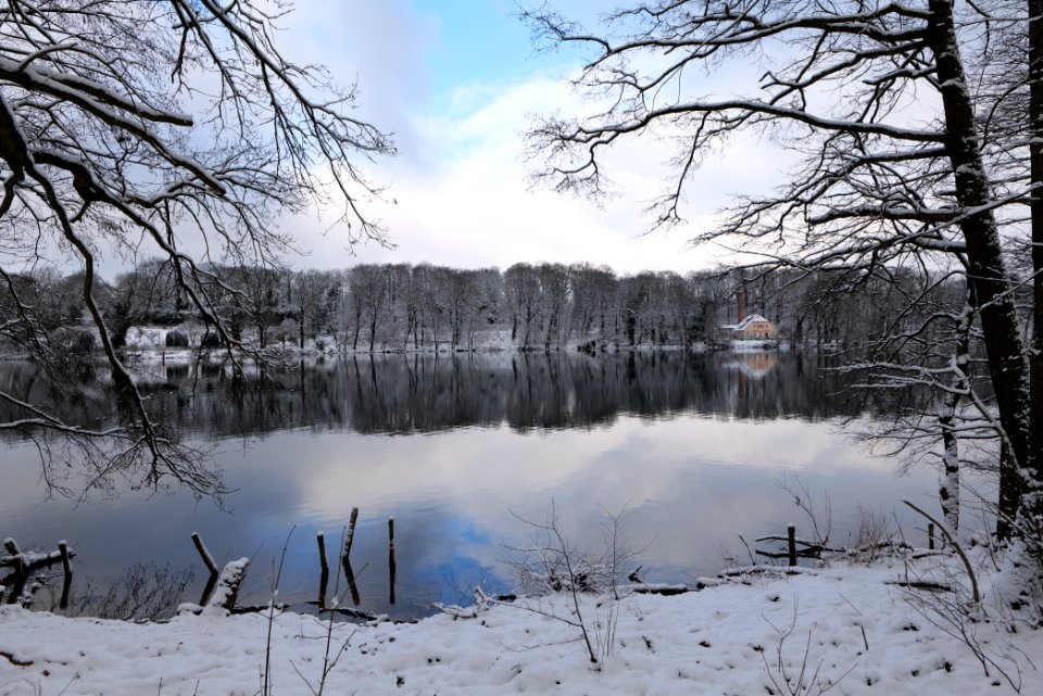 Pfaueninsel from Düppeler Forst with snow 2021-01-30 01