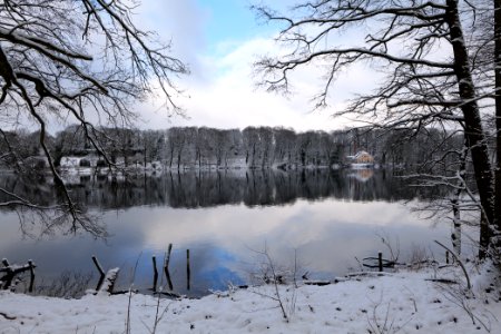 Pfaueninsel from Düppeler Forst with snow 2021-01-30 01