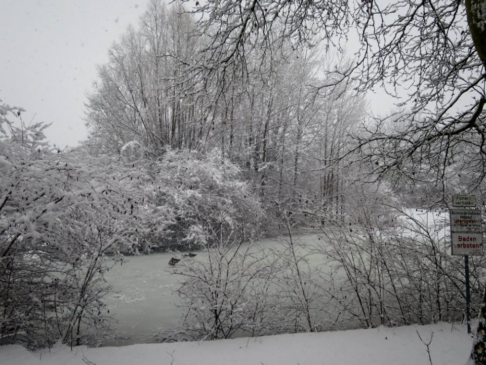 Perlacher Park 2
