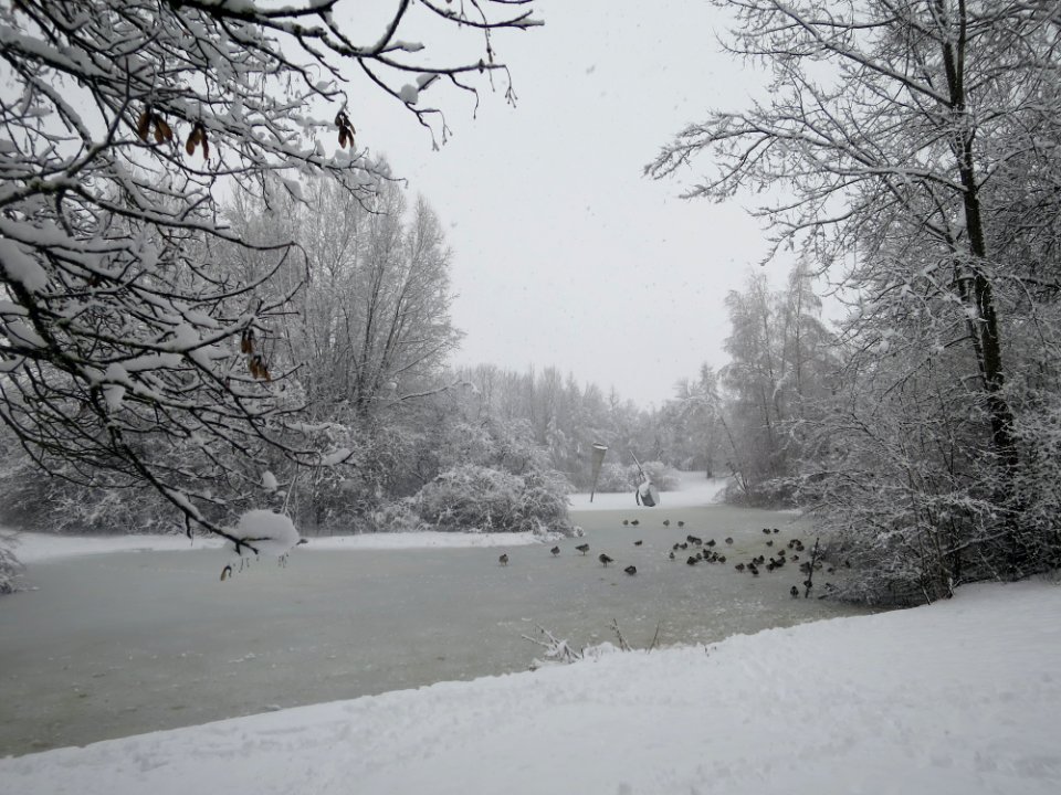 Perlacher Park 1