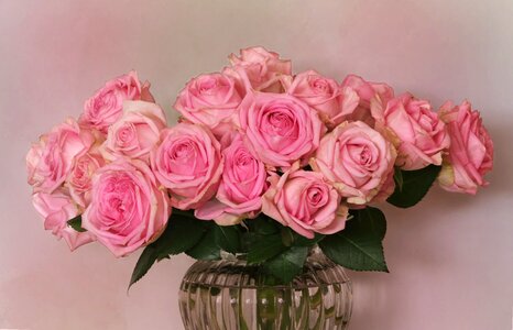 Bouquet of roses roses rosaceae