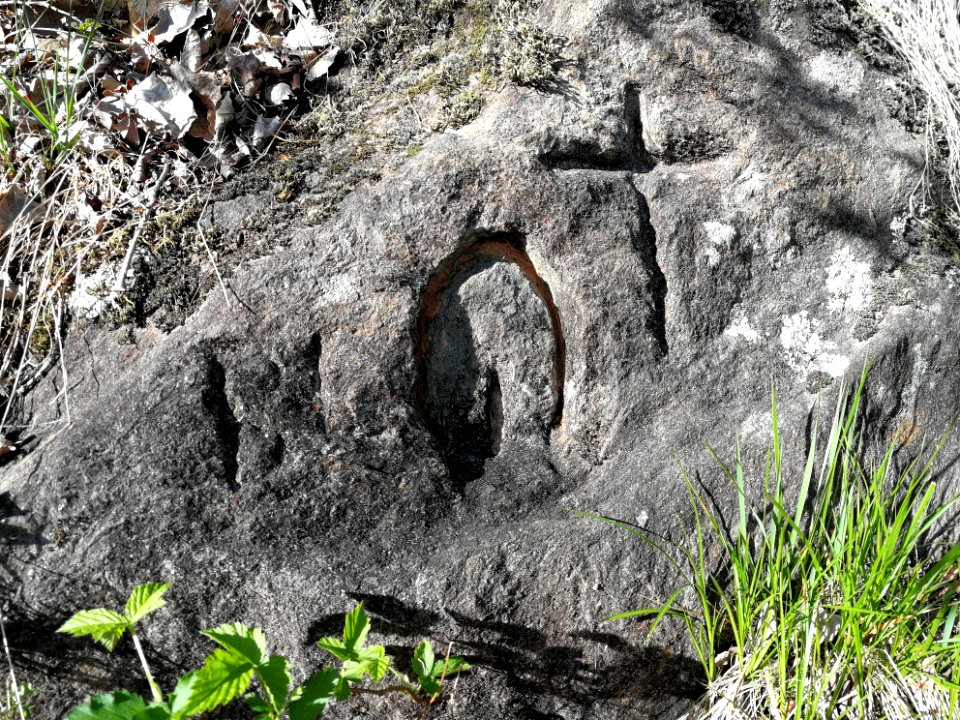 Petroglifi Mulattiera Vestreno-Sueglio