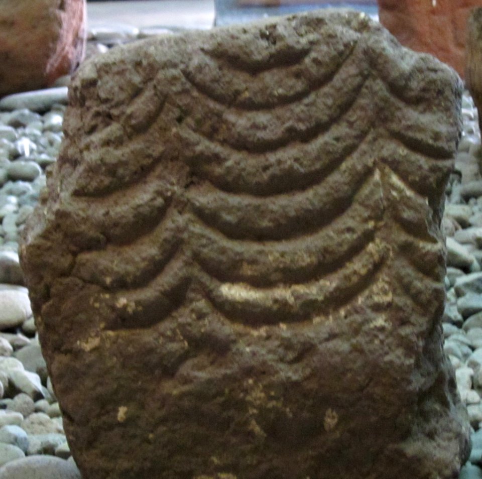Petroglyph, tuff, Raivavae, Austral Islands in French Polynesia