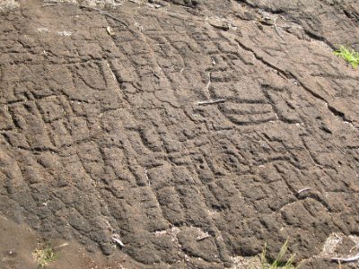 Petroglyphs in Puako Petroglyph Archaeological District1374