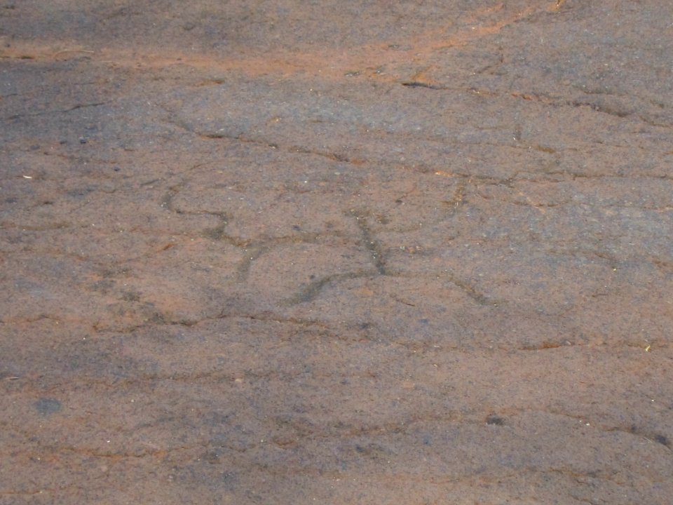 Petroglyphs in Puako Petroglyph Archaeological District1358