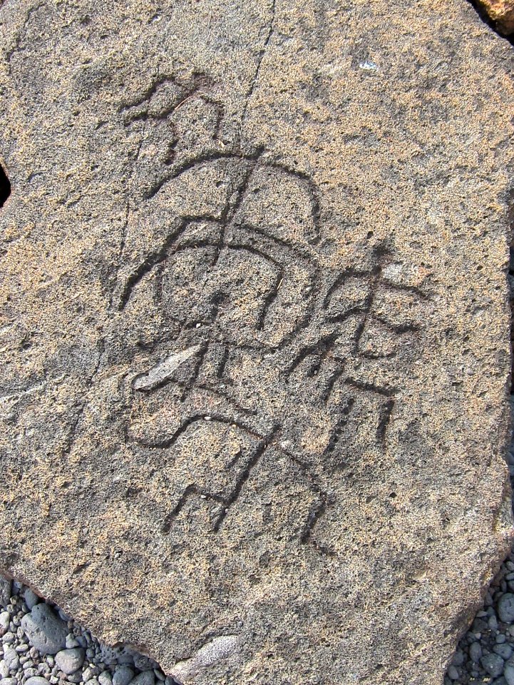 Petroglyphs in Puako Petroglyph Archaeological District1343