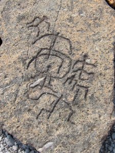 Petroglyphs in Puako Petroglyph Archaeological District1343