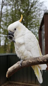 Animal zoo nature