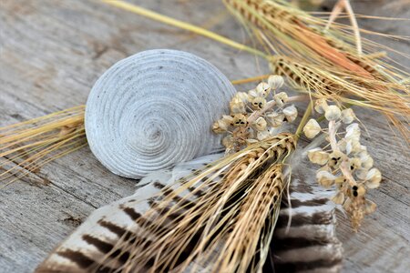 Decorative feather decoration stone