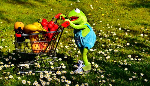 Fruit vegetables bananas