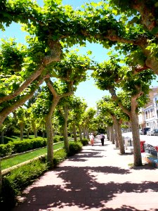 Peralta - Parque 08