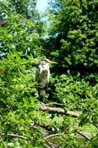 Perlacher Park 6