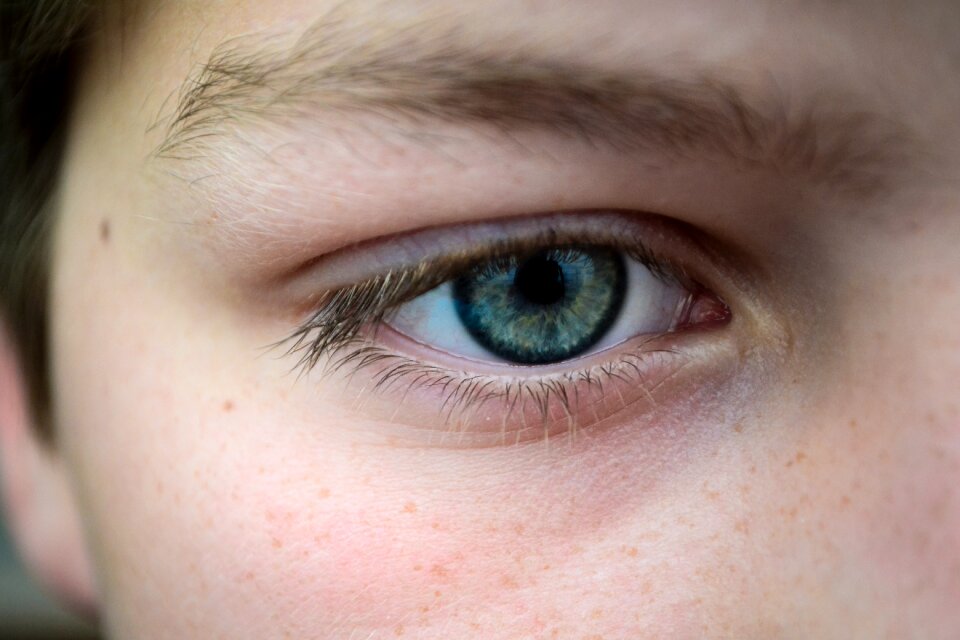 Eyesight look vision