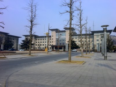 People's Government of Dongping County