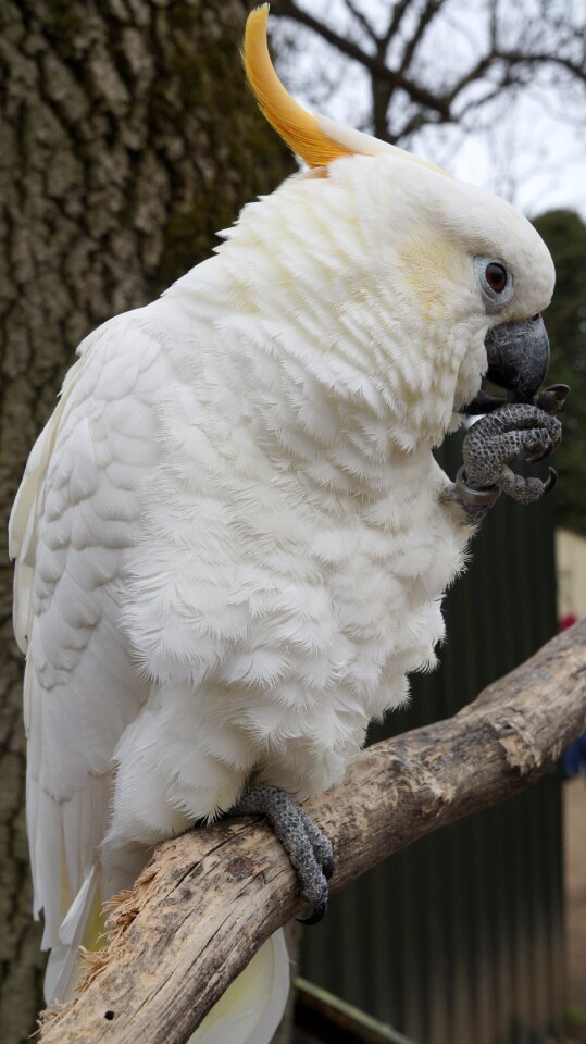 Animal zoo nature