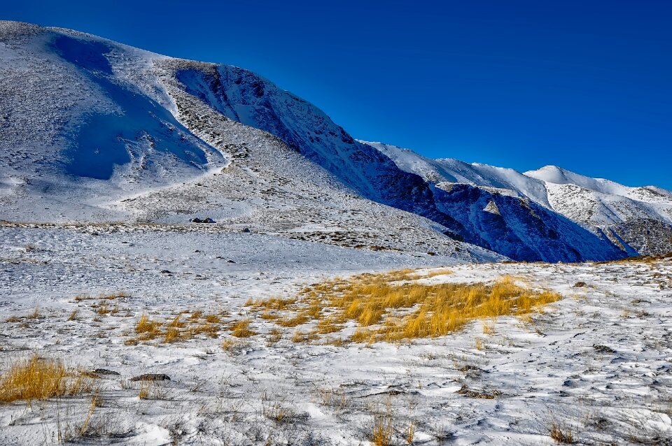 Mountains valley plants