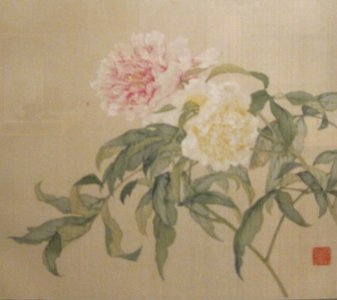 Peonies from 'Album of Flower Paintings' by Tao Rong, Honolulu Museum of Art
