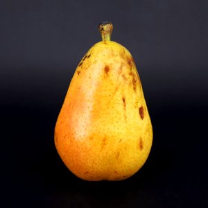 Pera limonera 2017 A2