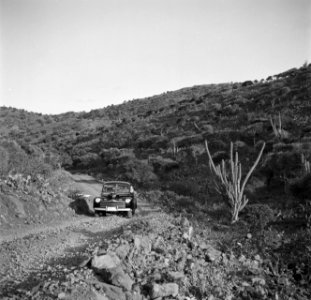 Per auto door de Yamanota, Aruba's hoogste berggroep, Bestanddeelnr 252-7976