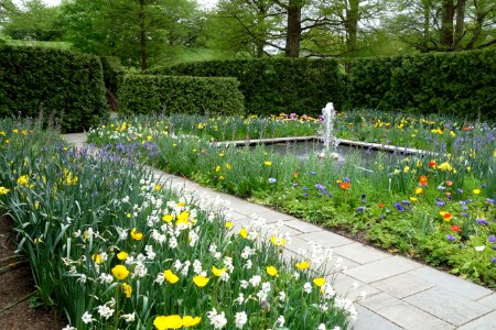 Peony Garden - Longwood Gardens - DSC01013