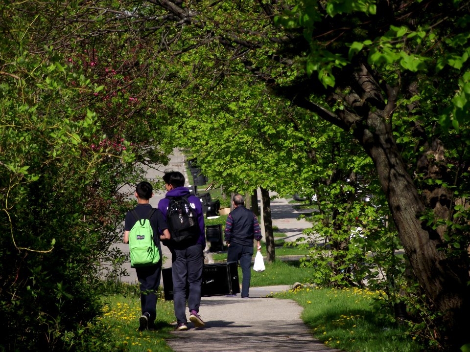 People walking in Toronto, May 2018