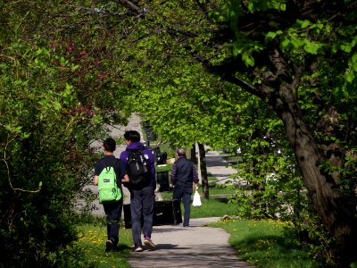 People walking in Toronto, May 2018