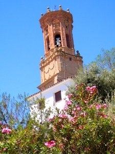 Peralta - Torre de la antigua Iglesia de San Juan Evangelista 09